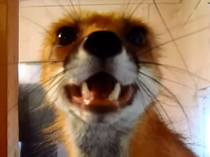 Site hosted by Neocities